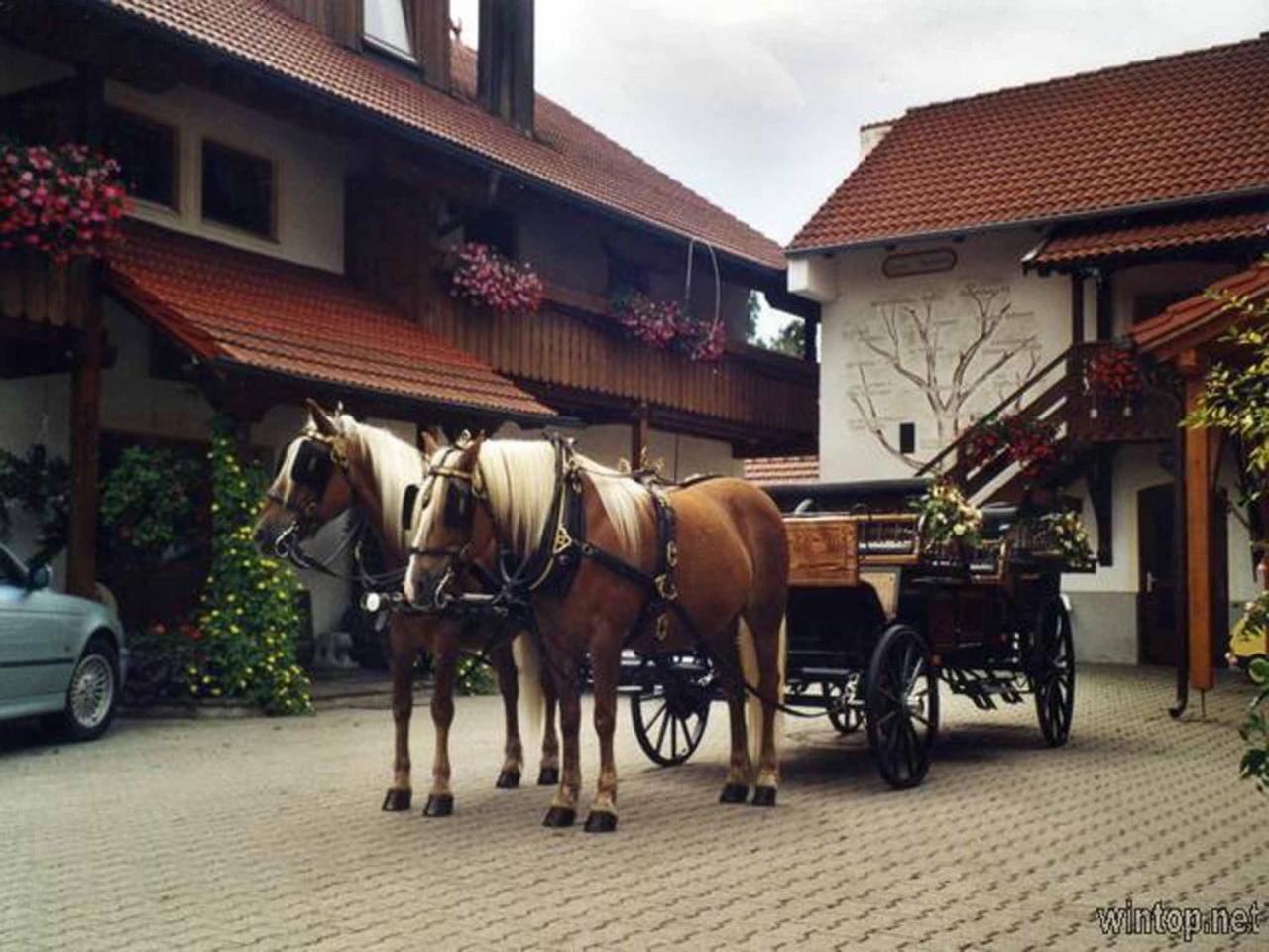 Appartementhaus "Haflinger Hof" Bad Füssing Екстериор снимка